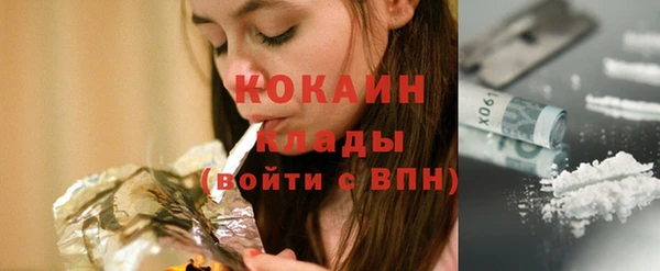 тгк Алексин