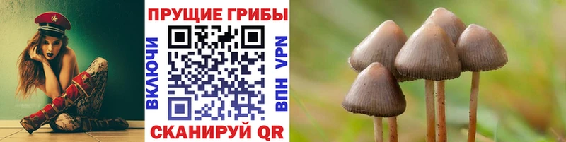 наркота Удачный Псилоцибиновые грибы Psilocybe